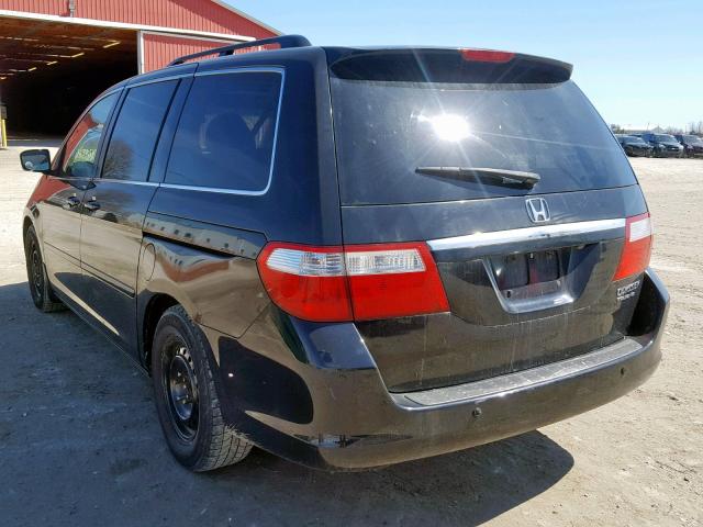 5FNRL38835B511043 - 2005 HONDA ODYSSEY TO BLACK photo 3