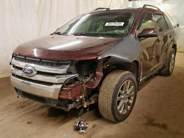 2FMDK4JC2CBA86647 - 2012 FORD EDGE SEL MAROON photo 2