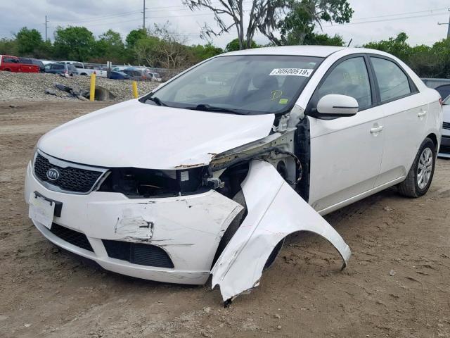 KNAFU4A25D5651927 - 2013 KIA FORTE EX WHITE photo 2