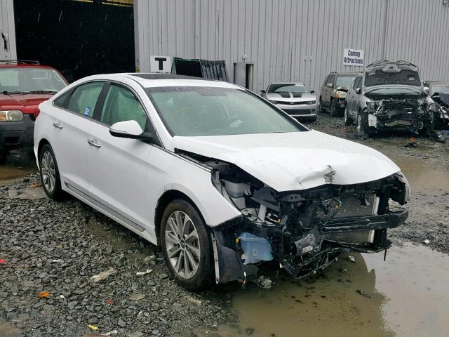 5NPE34AF6GH413609 - 2016 HYUNDAI SONATA SPO WHITE photo 1