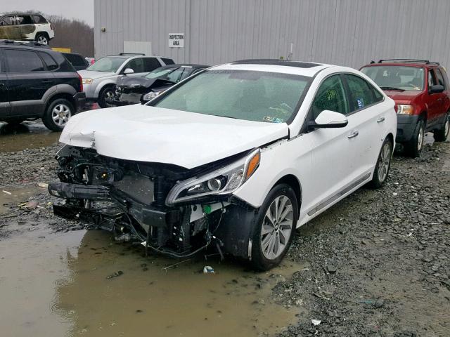 5NPE34AF6GH413609 - 2016 HYUNDAI SONATA SPO WHITE photo 2