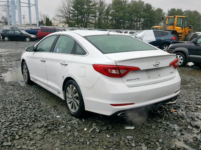 5NPE34AF6GH413609 - 2016 HYUNDAI SONATA SPO WHITE photo 3