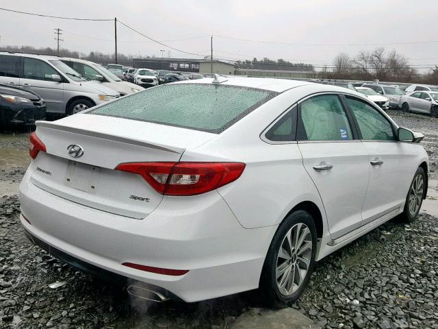 5NPE34AF6GH413609 - 2016 HYUNDAI SONATA SPO WHITE photo 4