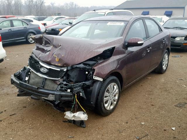 KNAFU4A26A5048318 - 2010 KIA FORTE EX MAROON photo 2