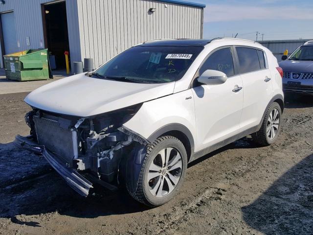 KNDPCCA20B7079168 - 2011 KIA SPORTAGE E WHITE photo 2