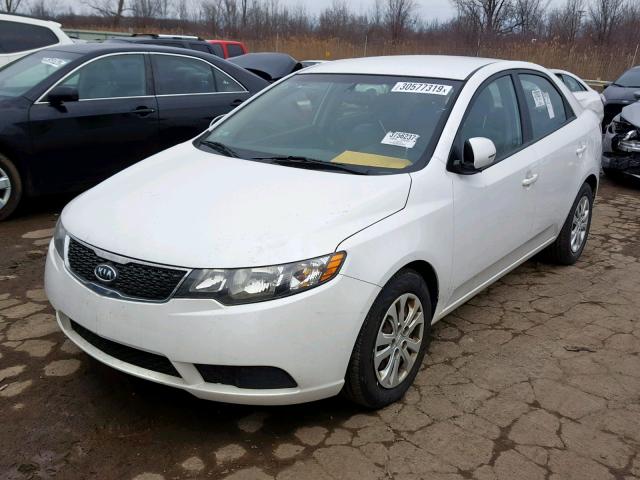 KNAFU4A22C5483808 - 2012 KIA FORTE EX WHITE photo 2