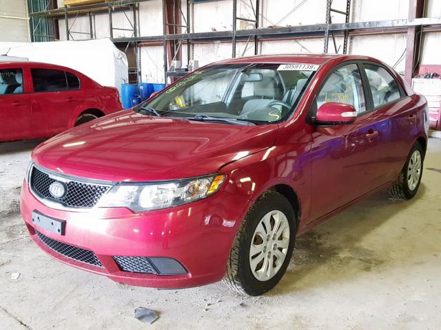 KNAFU4A23A5068381 - 2010 KIA FORTE EX RED photo 2