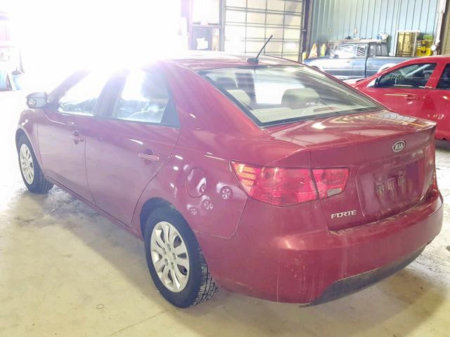 KNAFU4A23A5068381 - 2010 KIA FORTE EX RED photo 3