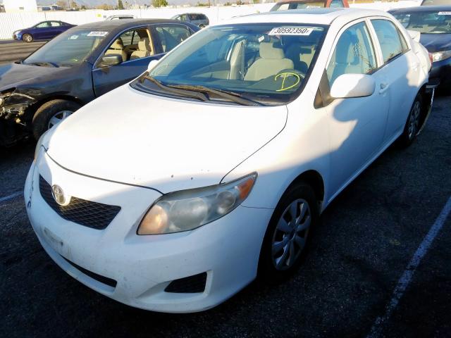 1NXBU4EE0AZ172298 - 2010 TOYOTA COROLLA BASE  photo 2