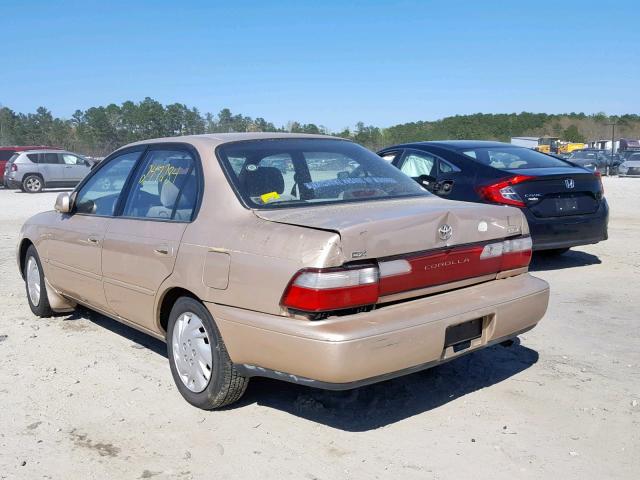 1NXBB02E6TZ487354 - 1996 TOYOTA COROLLA DX TAN photo 3