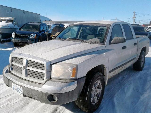 1D7HW48N75S234811 - 2005 DODGE DAKOTA QUA WHITE photo 2