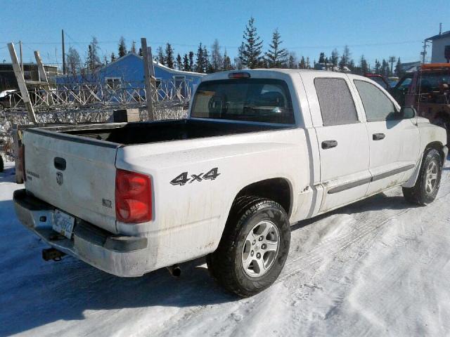 1D7HW48N75S234811 - 2005 DODGE DAKOTA QUA WHITE photo 4