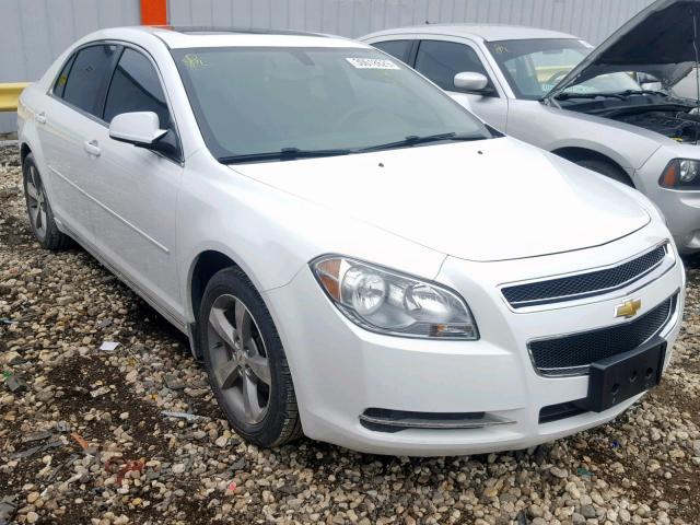 1G1ZC5E1XBF334168 - 2011 CHEVROLET MALIBU 1LT 白色 照片 1