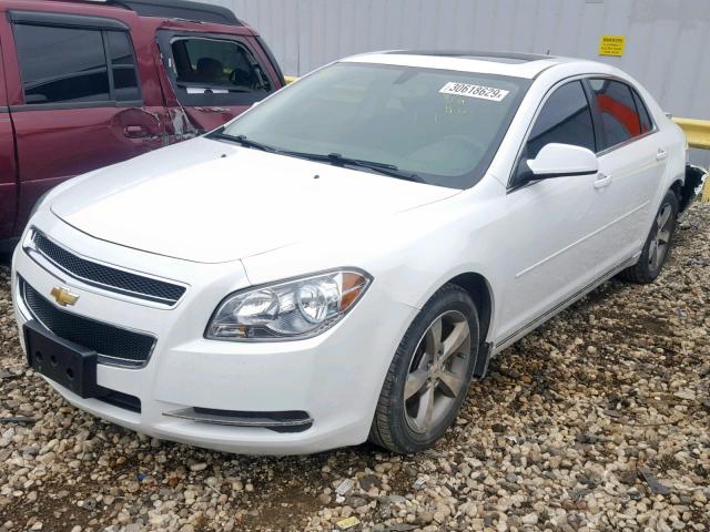 1G1ZC5E1XBF334168 - 2011 CHEVROLET MALIBU 1LT 白色 照片 2