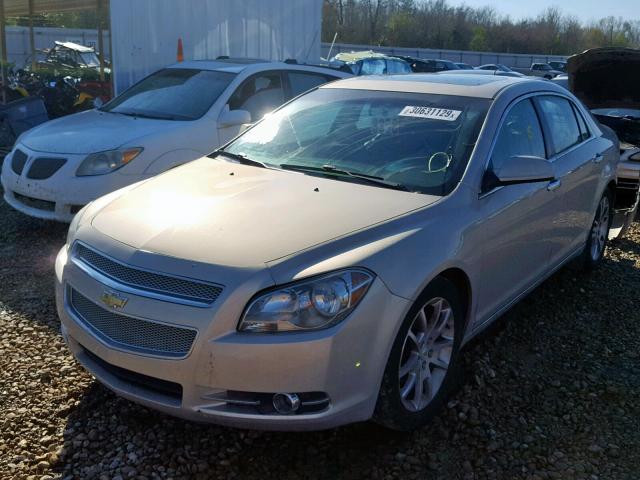 1G1ZE5EB3AF204346 - 2010 CHEVROLET MALIBU LTZ TAN photo 2