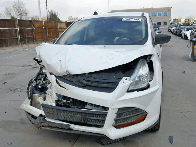 1FMCU0F71EUE01204 - 2014 FORD ESCAPE S WHITE photo 7