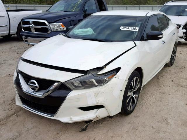 1N4AA6AP2GC385513 - 2016 NISSAN MAXIMA 3.5 WHITE photo 2