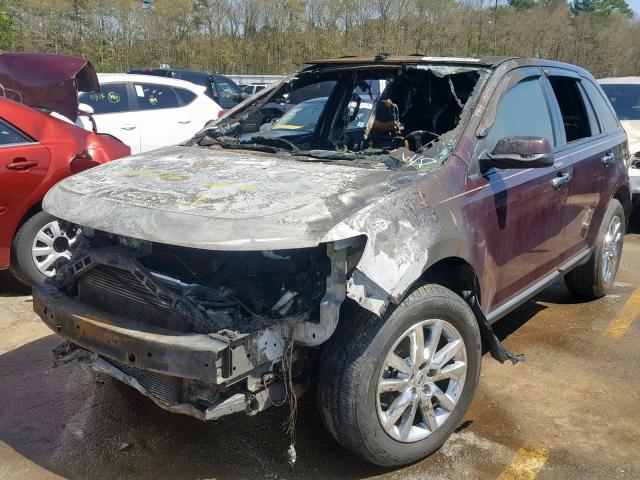 2FMDK3JC2BBB30977 - 2011 FORD EDGE SEL BURGUNDY photo 2