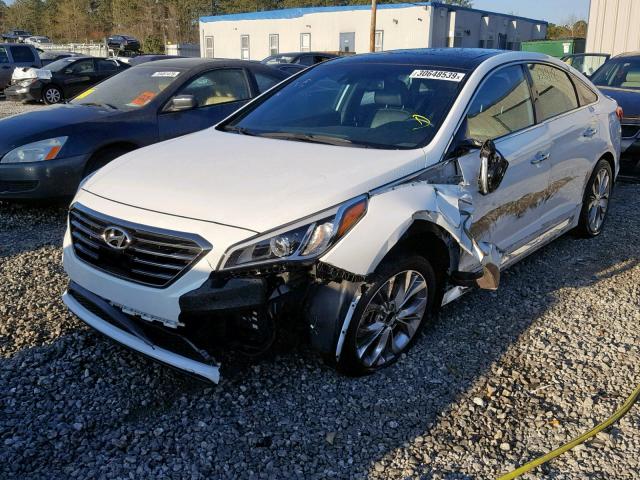 5NPE34AB2FH243258 - 2015 HYUNDAI SONATA SPO WHITE photo 2