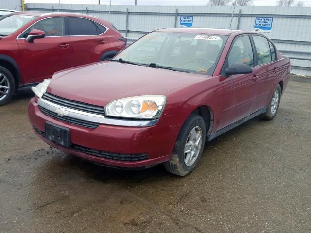 1G1ZT52815F127903 - 2005 CHEVROLET MALIBU LS MAROON photo 2