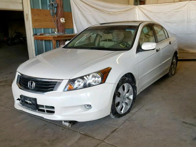 1HGCP36818A005772 - 2008 HONDA ACCORD EXL WHITE photo 2