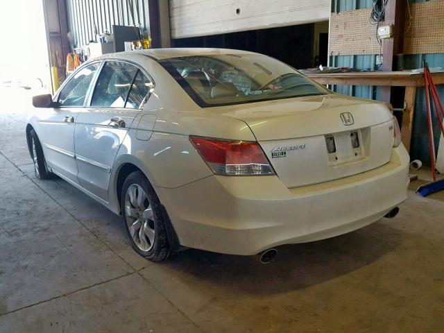 1HGCP36818A005772 - 2008 HONDA ACCORD EXL WHITE photo 3