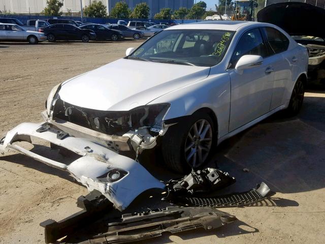 JTHBF5C26B5130600 - 2011 LEXUS IS 250 WHITE photo 2