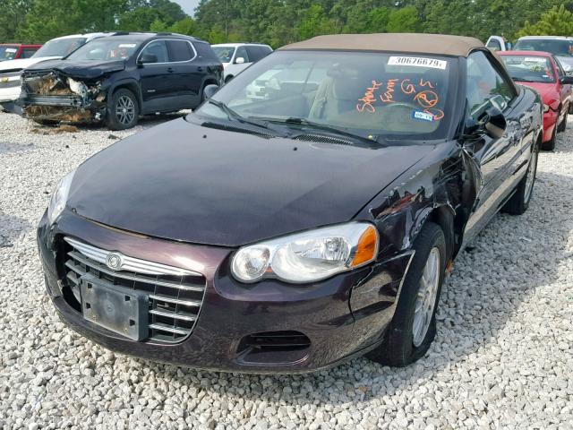 1C3EL45X84N119714 - 2004 CHRYSLER SEBRING LX PURPLE photo 2