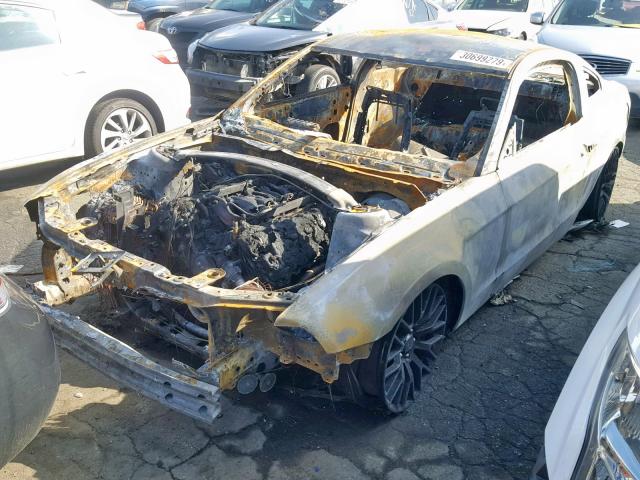 1ZVBP8CF7E5271809 - 2014 FORD MUSTANG GT BURN photo 2