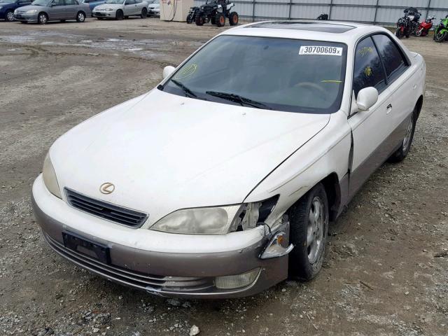 JT8BF22G7V0069495 - 1997 LEXUS ES 300 WHITE photo 2