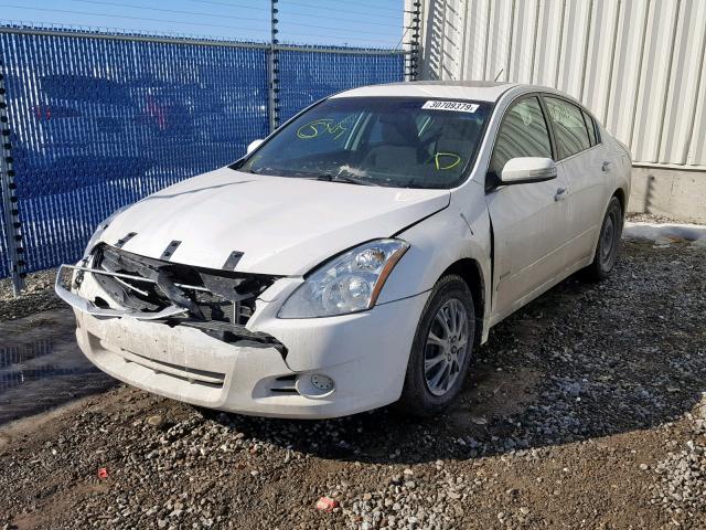 1N4CL2APXAC107655 - 2010 NISSAN ALTIMA HYB WHITE photo 2