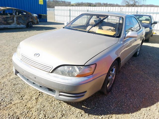 JT8GK13T6S0094164 - 1995 LEXUS ES 300  photo 2