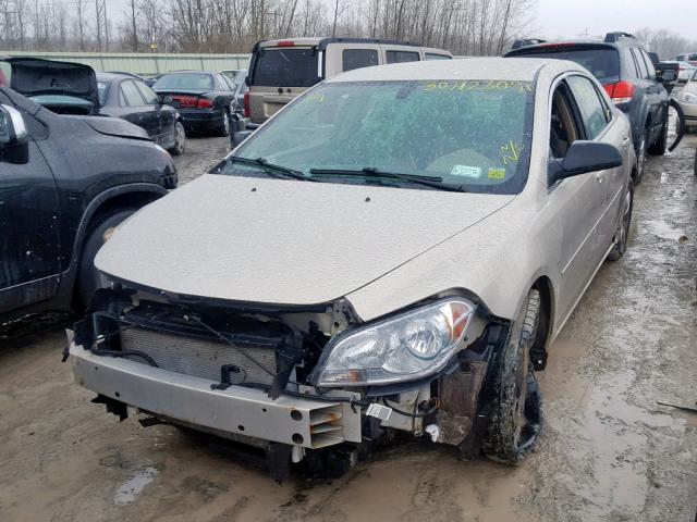 1G1ZG57B29F238376 - 2009 CHEVROLET MALIBU LS TAN photo 2