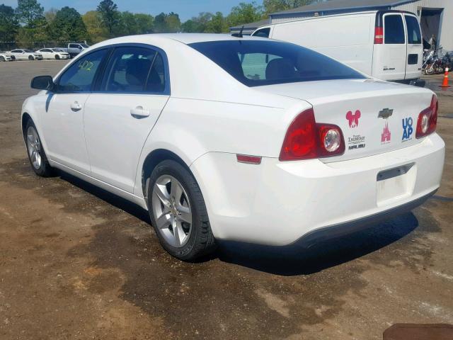 1G1ZB5E12BF199464 - 2011 CHEVROLET MALIBU LS თეთრი ფოტო 3