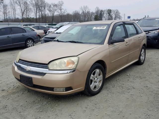 1G1ZU64894F163238 - 2004 CHEVROLET MALIBU MAX 金色 照片 2
