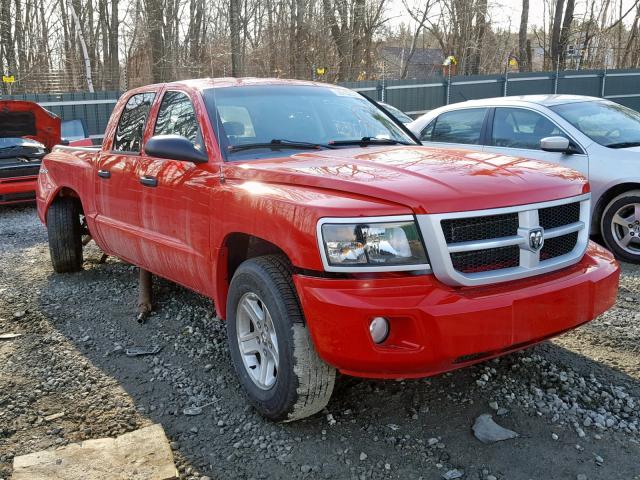 1D7RW3GK0BS614333 - 2011 DODGE DAKOTA SLT RED photo 1