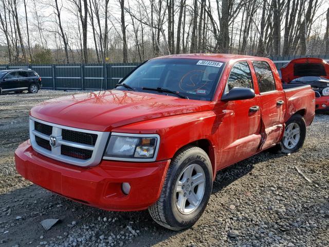 1D7RW3GK0BS614333 - 2011 DODGE DAKOTA SLT RED photo 2