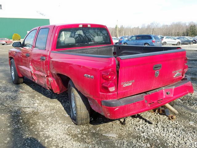 1D7RW3GK0BS614333 - 2011 DODGE DAKOTA SLT RED photo 3