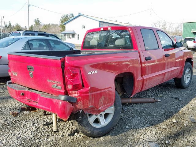 1D7RW3GK0BS614333 - 2011 DODGE DAKOTA SLT RED photo 4