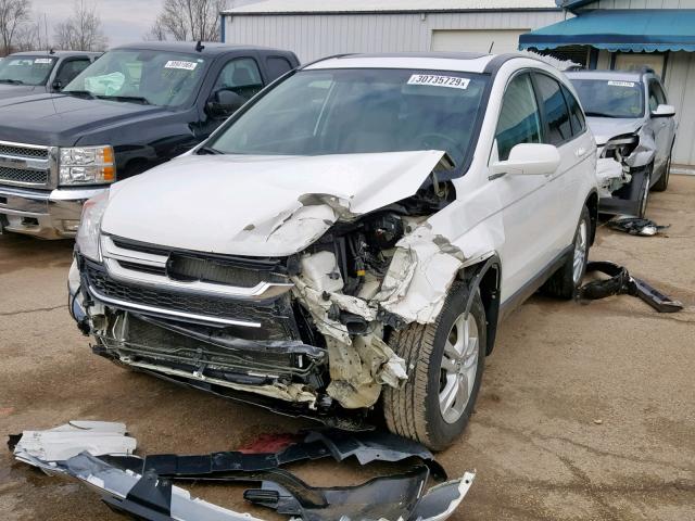 5J6RE4H78AL054142 - 2010 HONDA CR-V EXL WHITE photo 2