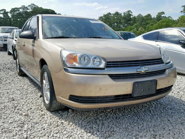 1G1ZT62825F302634 - 2005 CHEVROLET MALIBU MAX ოქროსფერი ფოტო 1