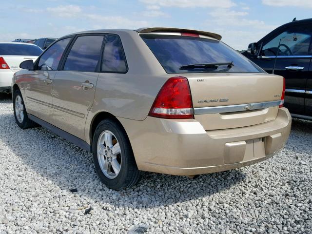 1G1ZT62825F302634 - 2005 CHEVROLET MALIBU MAX ოქროსფერი ფოტო 3