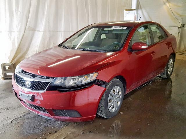 KNAFU4A22A5070431 - 2010 KIA FORTE EX RED photo 2