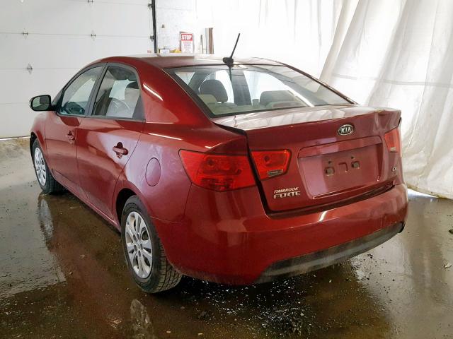 KNAFU4A22A5070431 - 2010 KIA FORTE EX RED photo 3