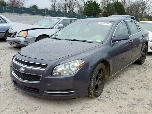 1G1ZC5EB5AF309556 - 2010 CHEVROLET MALIBU 1LT ნაცრისფერი ფოტო 2