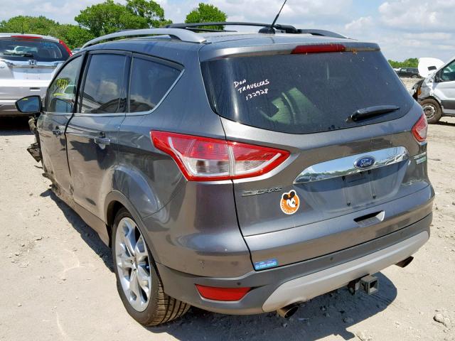 1FMCU0J98EUB56104 - 2014 FORD ESCAPE TIT GRAY photo 3