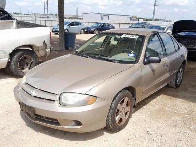 1G1JF52F947273655 - 2004 CHEVROLET CAVALIER L GOLD photo 2