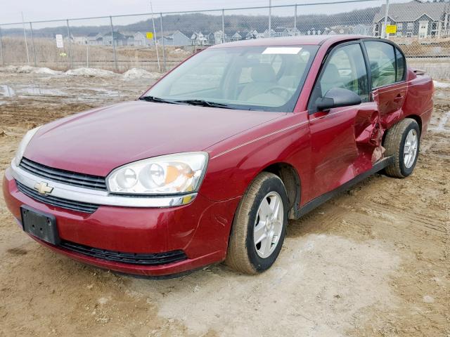 1G1ZT54855F131336 - 2005 CHEVROLET MALIBU LS 勃艮第红 照片 2