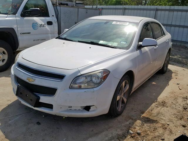 1G1ZC5E19BF222011 - 2011 CHEVROLET MALIBU 1LT 白色 照片 2