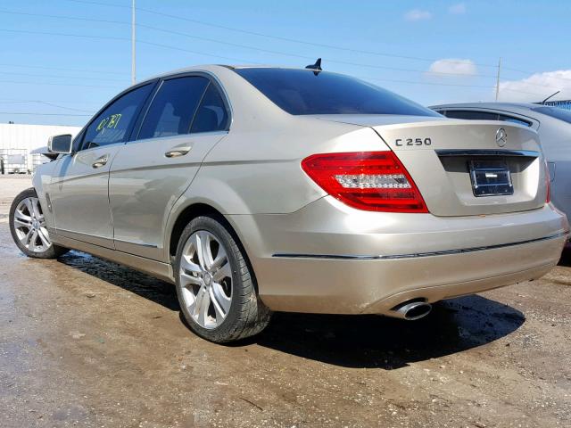 WDDGF4HB6CA596827 - 2012 MERCEDES-BENZ C 250 GOLD photo 3